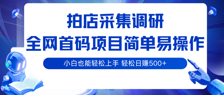 拍店采集调研，全网首码项目，简单易操作， 小白也能轻松上手，轻松日赚500+-KJ分享