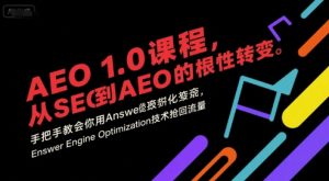 AEO 1.0 课程,从SEO到AE0的基命性转变,手把手教会你用AnswerEngineOptimization技术抢回流量(更新)-KJ分享