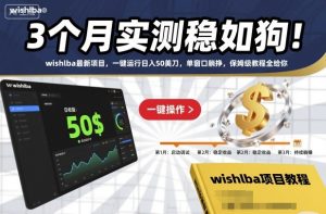 3个月实测稳如狗！wishlba最新项目，一键运行日入50美刀，单窗口躺挣，保姆级教程全给你-KJ分享
