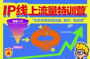 IP线上流量特训营，手把手教你搞流量、做IP、稳变现-KJ分享