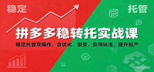 拼多多稳转托实战课:稳定托管双操作,含优化、裂变、反向玩法,提升投产-KJ分享