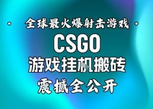【年底大揭秘】基于全球最火爆的射击CSGO游戏挂G搬砖,日入5张+,震撼公开-KJ分享