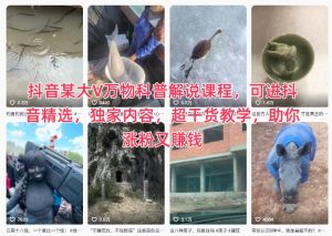 抖音某大V万物科普解说课程，可进抖音精选，独家内容，超干货教学，助你涨粉又賺钱-KJ分享
