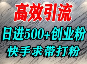 怎么打创业粉?快手求带视角精准引流创业粉,宝妈、学生群体日进500+精准流量-KJ分享