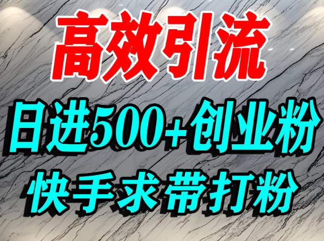 怎么打创业粉？快手求带视角精准引流创业粉，宝妈、学生群体日进500+精准流量-KJ分享