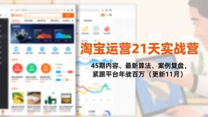 淘宝运营21天实战营，45期内容、最新算法、案例复盘，紧跟平台年入百万（更新11月）-KJ分享