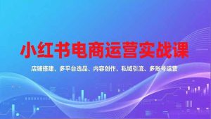 小红书电商运营实战课,店铺搭建、多平台选品、内容创作、私域引流、多账号运营等玩法-KJ分享
