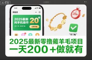 2025最新零撸薅羊毛项目,纯手机操作,20秒一单,无任何门槛,一天200+做就有-KJ分享