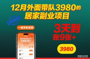 12月外面带队3980的居家副业项目,一部手机实测3天到账9张+,首发教程-KJ分享