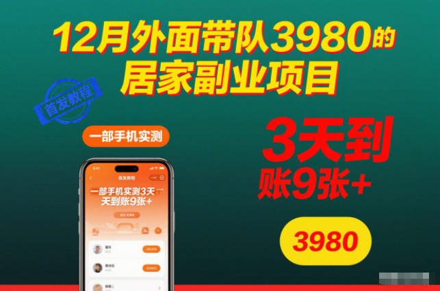 12月外面带队3980的居家副业项目，一部手机实测3天到账9张+，首发教程-KJ分享