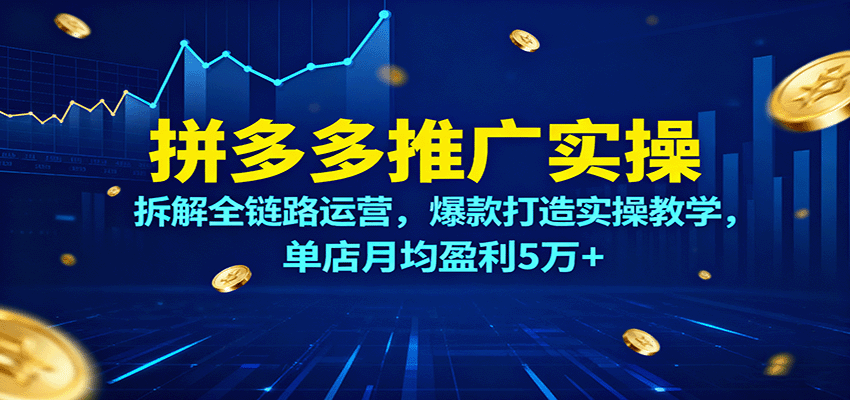 拼多多推广实操，拆解全链路运营，爆款打造实操教学，单店月均盈利5万+-KJ分享