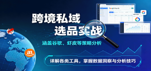 跨境私域选品实战：涵盖谷歌、虾皮等策略分析，详解各类工具，掌握数据洞察与分析技巧-KJ分享