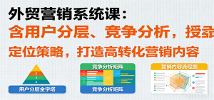 外贸营销系统课:含用户分层、竞争分析,授卖品、定位策略,打造高转化营销内容-KJ分享