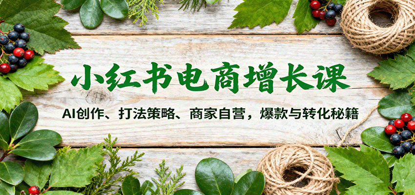 小红书电商增长课：AI创作、打法策略、商家自营，爆款与转化秘籍-KJ分享