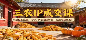 三农IP成交课:从定位到流量、内容,再到拍摄剪辑,打造能变现的IP-KJ分享
