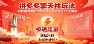 拼多多擎天柱玩法，水果生鲜最快2小时起飞，标品最慢2天起链接-KJ分享