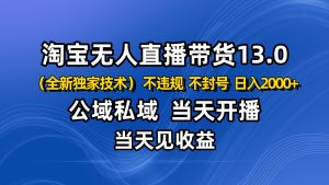 淘宝无人直播13.0,公域私域技术,不封号,不违规 布局下半年旺季赛道,日入2000+-KJ分享
