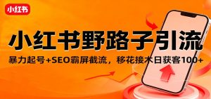 小红书野路子引流，暴力起号+SEO霸屏截流，移花接木日获客100+-KJ分享