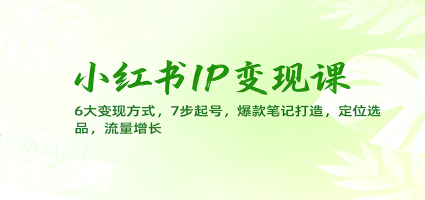 小红书IP变现课：6大变现方式，7步起号，爆款笔记打造，定位选品，流量增长-KJ分享