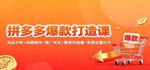 拼多多爆款打造课:竞品分析+标题制作+推广优化+黑搜改销量+免费流量拉升-KJ分享