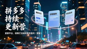 拼多多持续更新营,最新玩法、诊断案例、前沿技术,紧跟平台,保障打法始终有效盈利(更新)-KJ分享