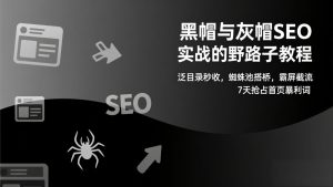 黑帽与灰帽SEO实战的野路子教程:泛目录秒收,蜘蛛池搭桥,霸屏截流,7天抢占首页暴利词-KJ分享