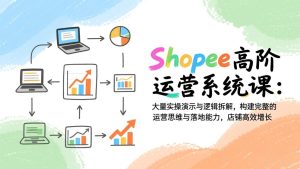 Shopee高阶运营系统课:大量实操演示与逻辑拆解,构建完整的运营思维与落地能力,店铺高效增长-KJ分享