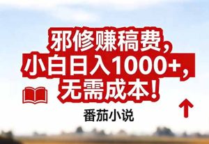 番茄小说赚稿费邪修玩法无需成本，真实日入1000+，超级简单！-KJ分享
