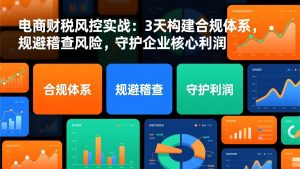 电商财税风控实战：3天构建合规体系，规避稽查风险，守护企业核心利润-KJ分享