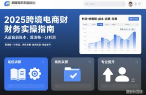 2025跨境电商财务实操指南,从后台到账本,算清每一分利润,系统讲解-案例实操-专业提升-KJ分享