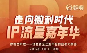 2025ip嘉年华万人12月14深圳线下课,走向微利时代,IP流量嘉年华,实操性极强的商业干货课-KJ分享