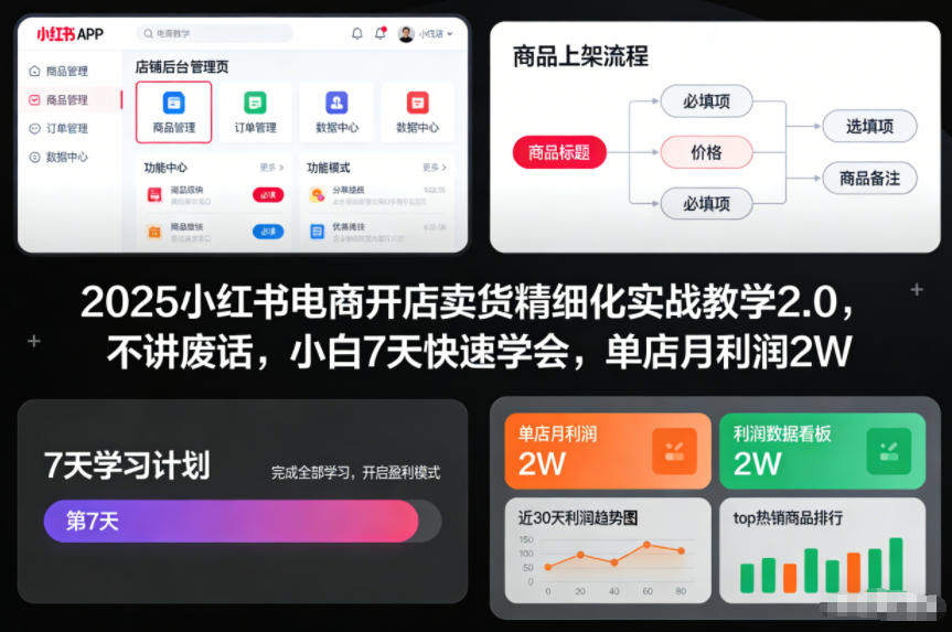 2025小红书电商开店卖货精细化实战教学2.0，不讲废话，小白7天快速学会，单店月利润2W-KJ分享
