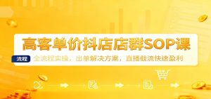 高客单价抖店店群SOP课：全流程实操，出单解决方案，直播截流快速盈利-KJ分享