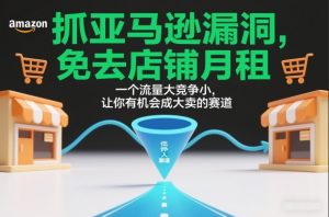 抓亚马逊漏洞,免去店铺月租,一个流量大竞争小,让你有机会成大卖的赛道-KJ分享