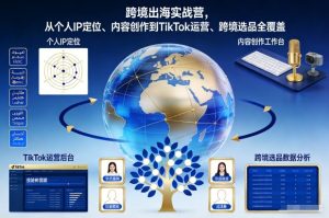 跨境出海实战营,从个人IP定位、内容创作到TikTok运营、跨境选品全覆盖-KJ分享