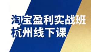 淘宝盈利实战班杭州线下课12月26-28日（音频+字幕），帮你掌握SOP流程+12门核心技术-KJ分享
