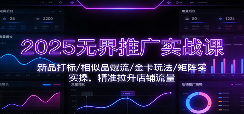 2025无界推广实战课：新品打标/相似品爆流/金卡玩法/矩阵实操，精准拉升店铺流量-KJ分享
