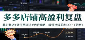 多多店铺高盈利复盘:暴力起店+微付费玩法+活动策略,解锁持续盈利SOP(更新)-KJ分享