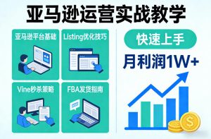 亚马逊运营实战教学，亚马逊平台+Listing优化+Vine秒杀+FBA发货等，快速上手，实现店铺月利润1W-KJ分享