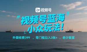 视频号蓝海小众玩法!外面收费399,零门槛日入3张+,老少皆宜-KJ分享