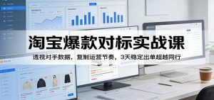 淘宝爆款对标实战课：透视对手数据，复制运营节奏，3天稳定出单超越同行-KJ分享
