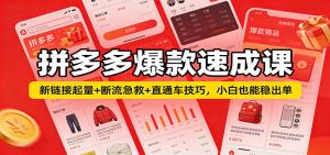 拼多多爆款速成课：新链接起量+断流急救+直通车技巧，小白也能稳出单-KJ分享