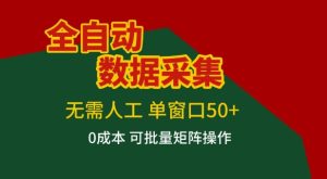 全自动数据采集项目，无需人工，单窗口可达50+收益，操作简单无难度，一个人也能轻松实现矩阵-KJ分享