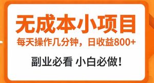 无成本小项目 每天操作几分钟，真实日收益800+ 副业必看 小白必做！-KJ分享