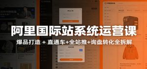 阿里国际站运营实战课：从店铺布局到TOP10旺铺，数据化运营，推广全攻略-KJ分享