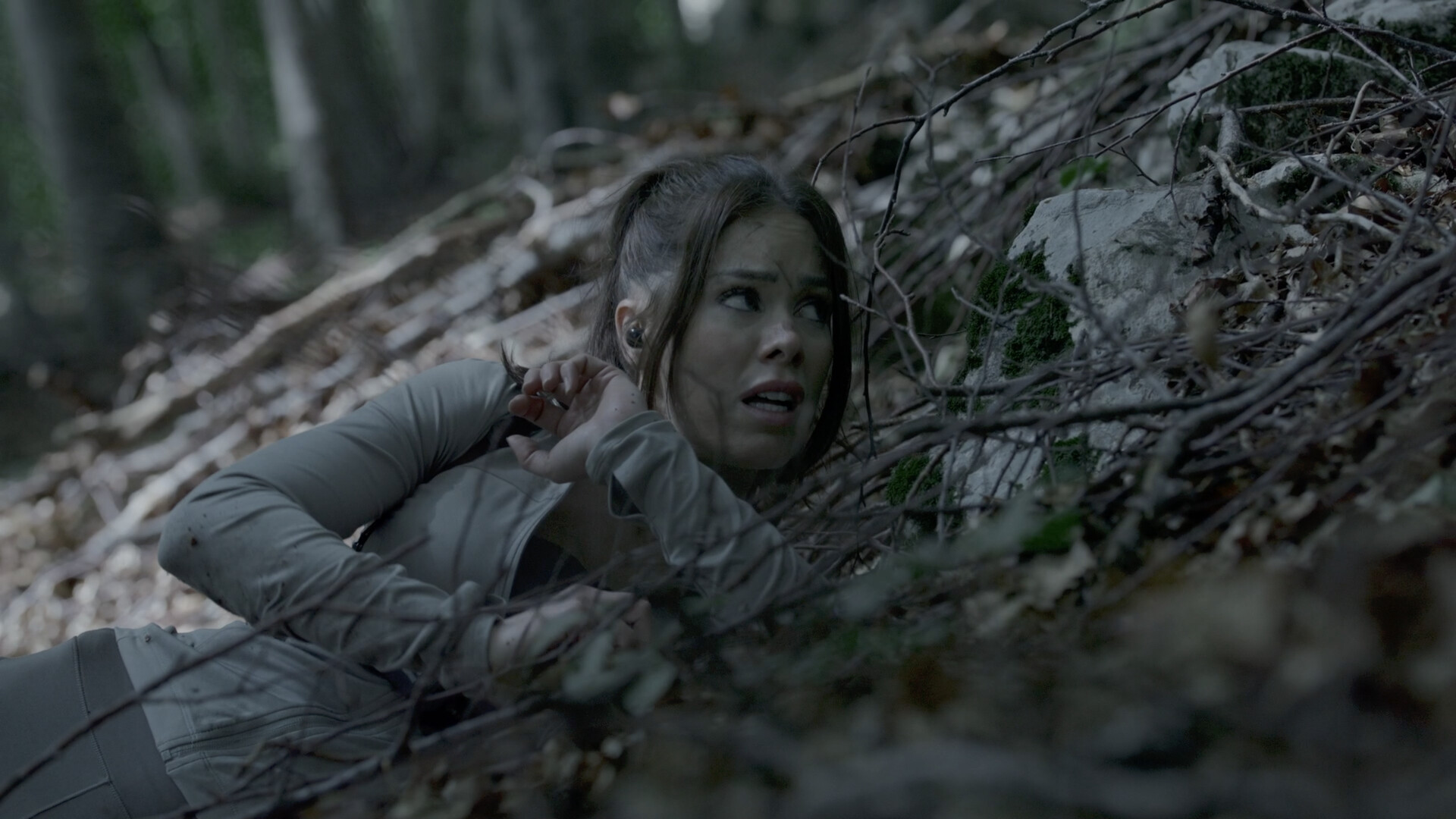 《奔跑/The Run》中文版-KJ分享