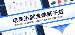 电商运营全体系干货，竞争定价+关键词推广+爆款打造+全域战略全拆解-KJ分享