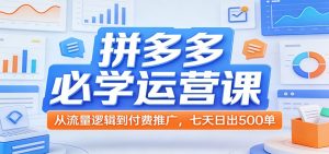 拼多多必学运营课:从流量逻辑到付费推广,七天日出500单-KJ分享