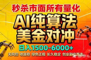 2026全网首发黑马项目，AI美金算法对冲，日入2000-6000+，稳定长效0风险，彻底告别996死工资-KJ分享