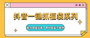 抖音一键抓福袋系列,配合网盘拉新,两份收益不能停-KJ分享